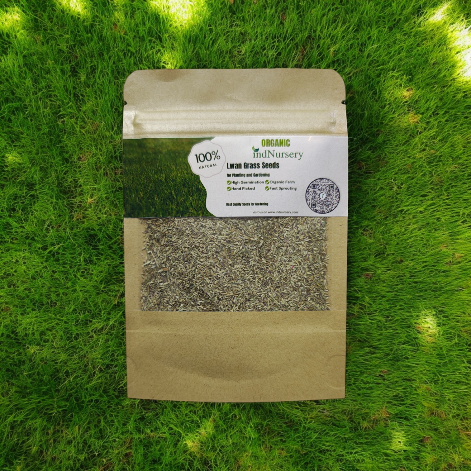 IndNursery Lawn Grass Seeds (Green, Pack of 10 gms)